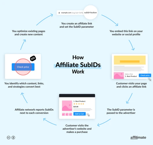 Placing Your Affiliate Link